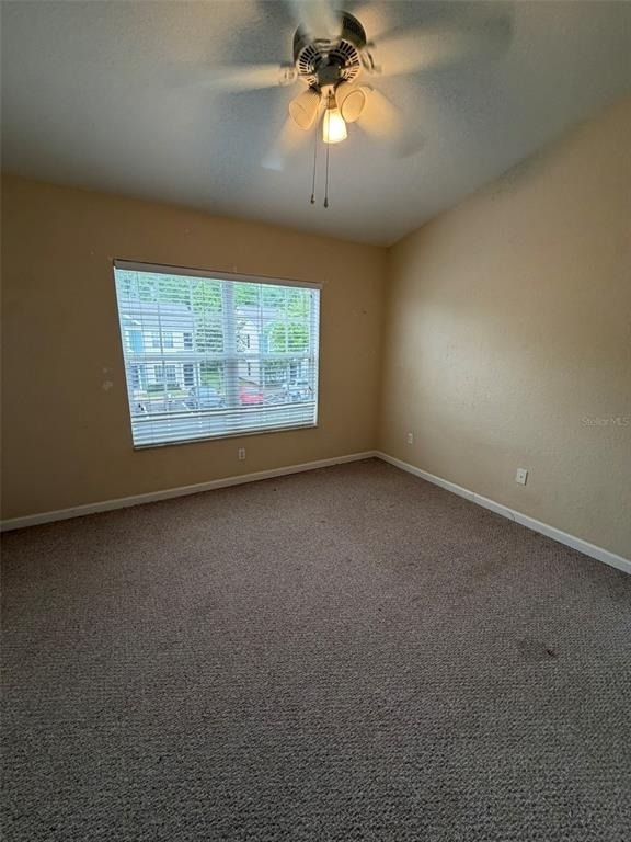 809 Shropshire - Photo 14