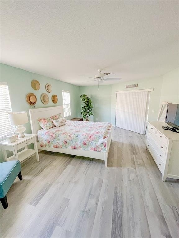 2137 Date Palm Way - Photo 8