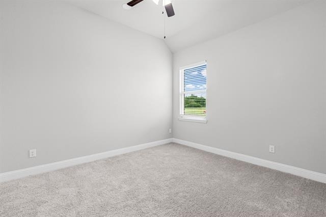4919 Elizabeth Way - Photo 12