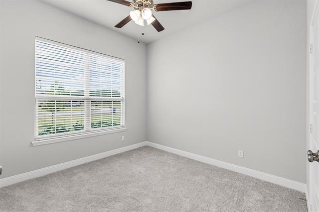 4919 Elizabeth Way - Photo 6