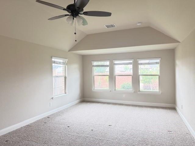 1009 Tree Shadow Lane - Photo 7