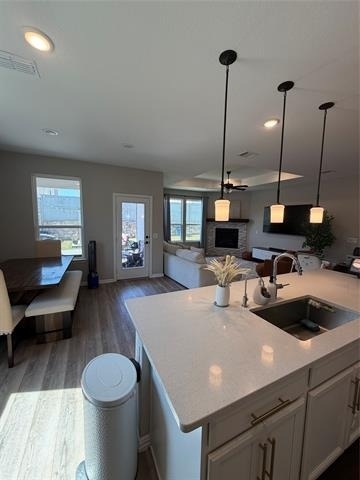 1300 Starling Street - Photo 7