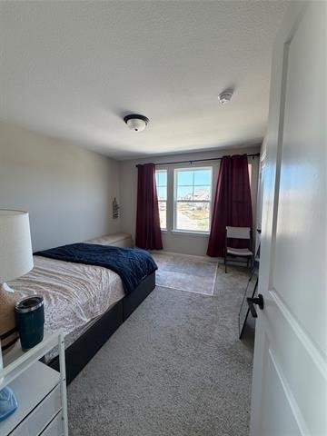 1300 Starling Street - Photo 15
