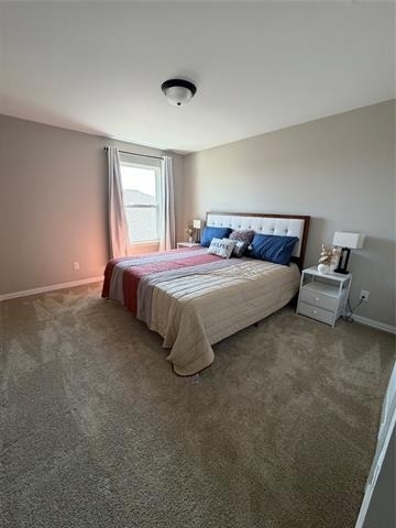 1300 Starling Street - Photo 21