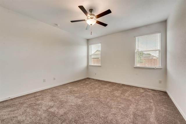1833 Lake Grove Drive - Photo 14
