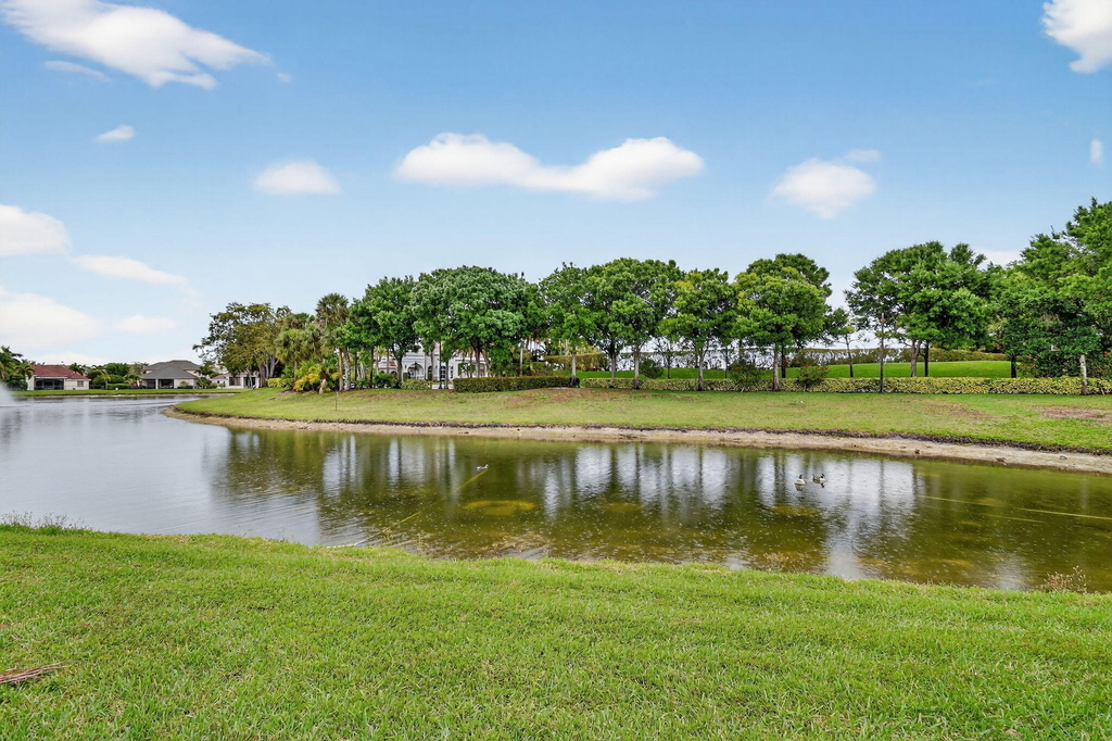10337 Trianon Place - Photo 77
