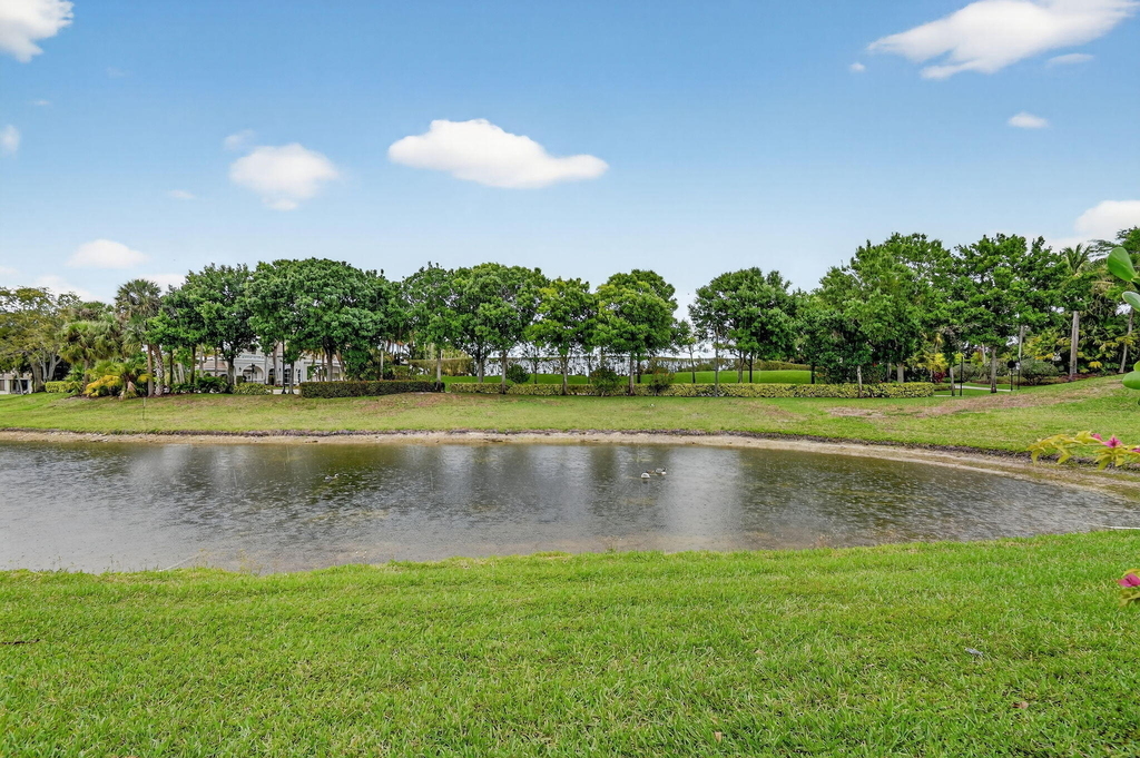 10337 Trianon Place - Photo 75