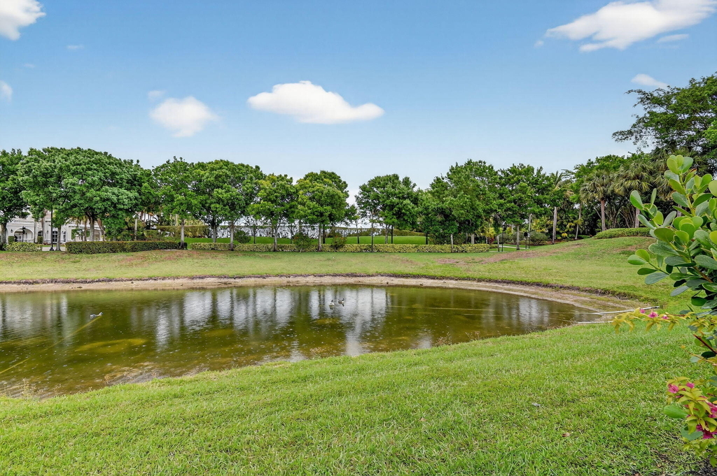 10337 Trianon Place - Photo 76