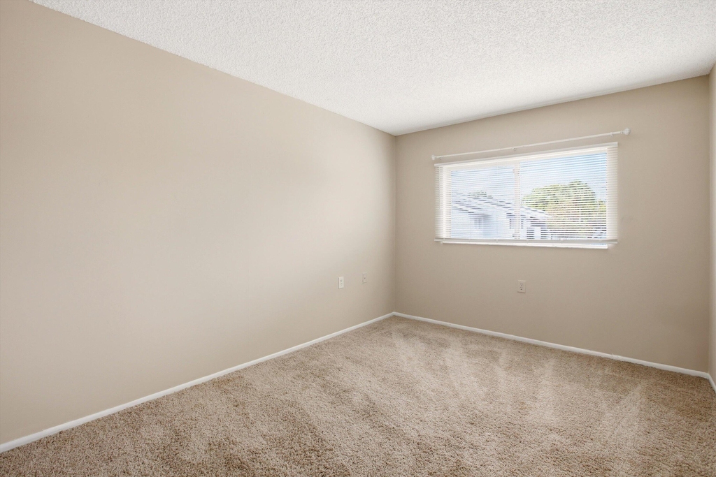 1153 Lake Victoria Drive - Photo 7