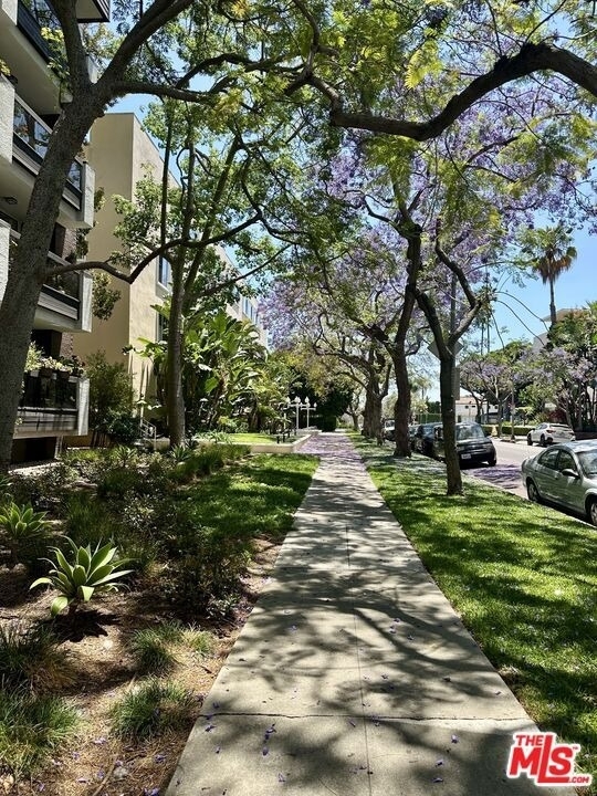 324 N Palm Drive - Photo 39
