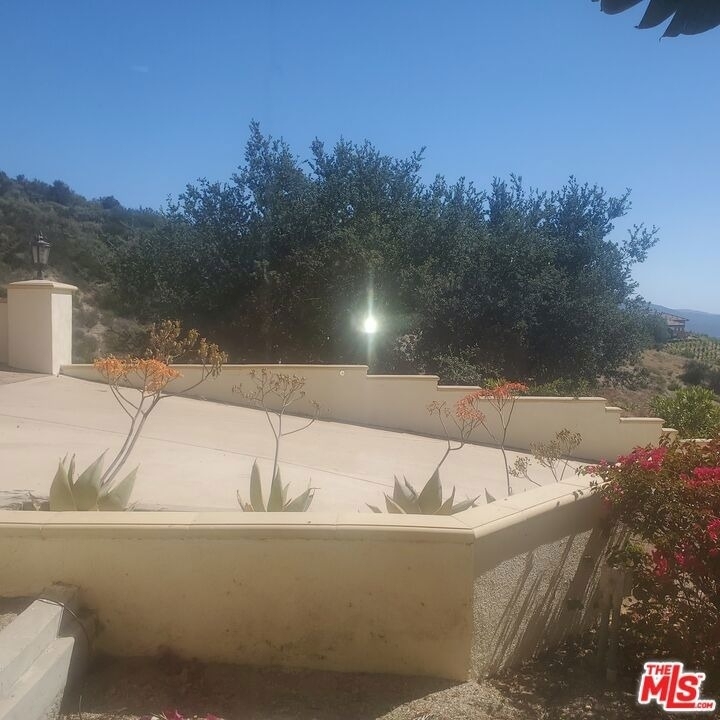 42100 Parado Del Sol Drive - Photo 24