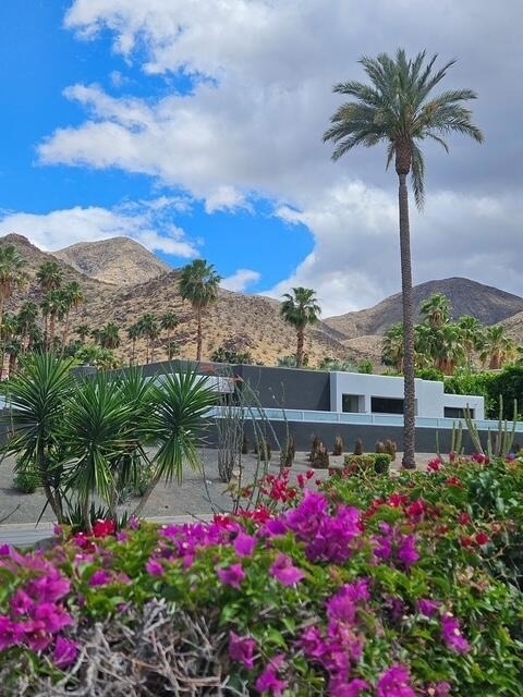 3447 Andreas Hills Drive - Photo 3