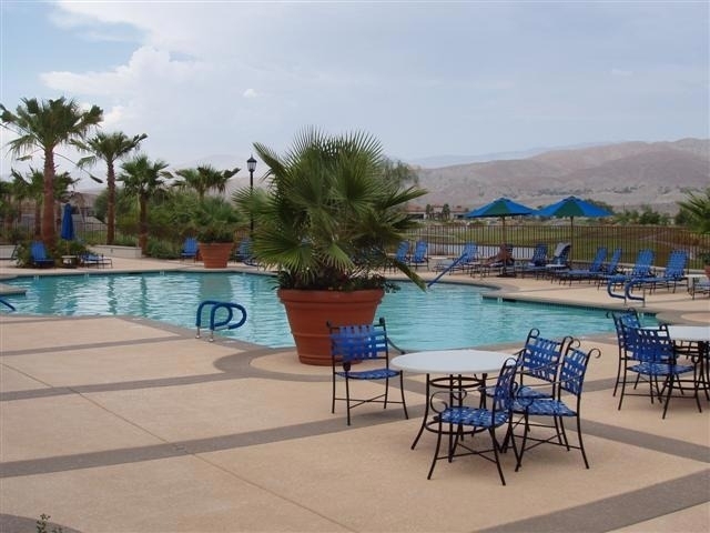 81083 Avenida Tres Lagunas - Photo 38