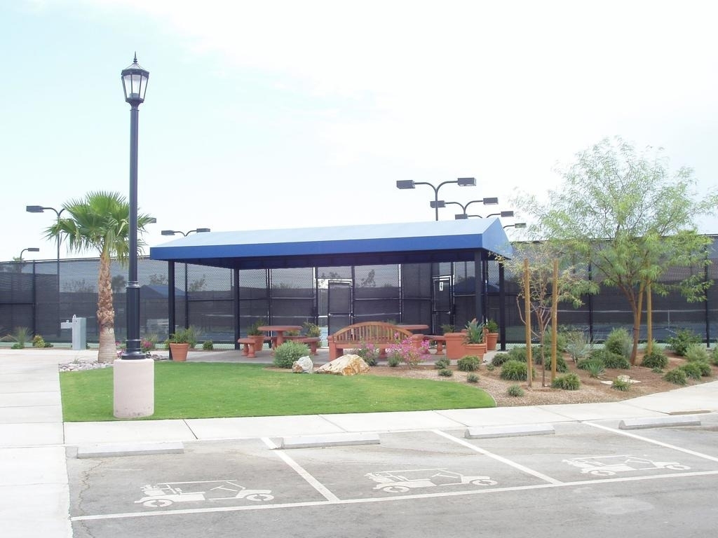 81083 Avenida Tres Lagunas - Photo 46