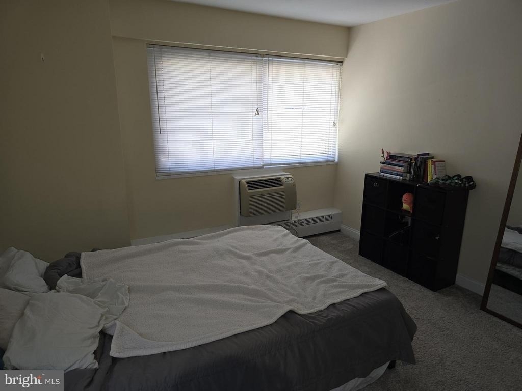 2101-17 Chestnut Street - Photo 9