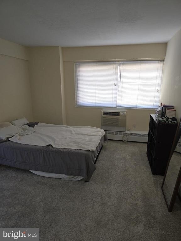 2101-17 Chestnut Street - Photo 8