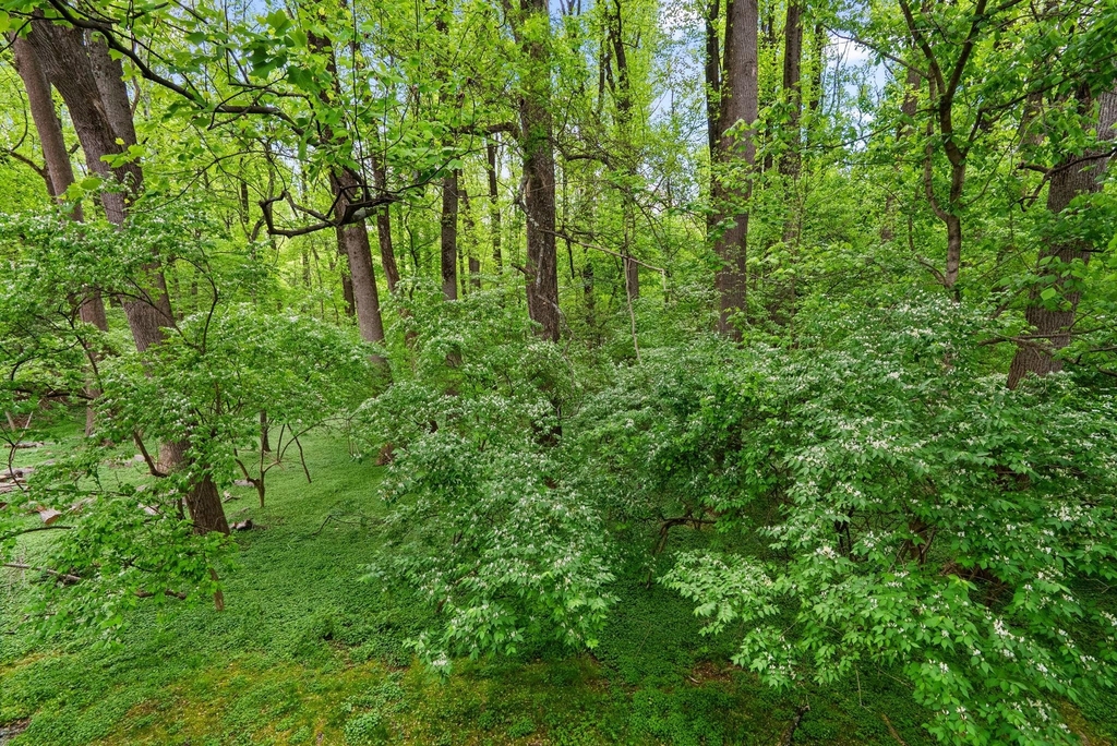 10643 Weymouth Street - Photo 27