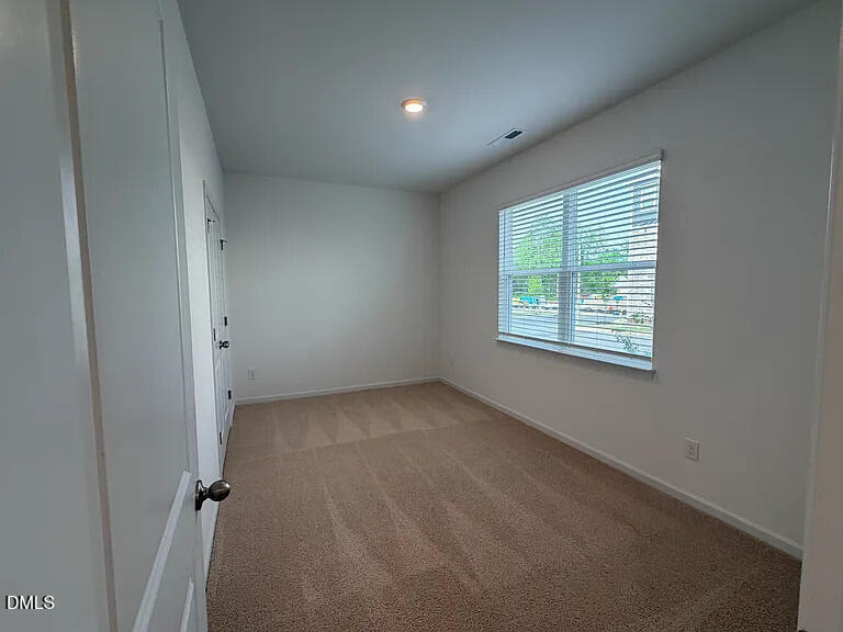 721 Lucky Clover Way - Photo 25