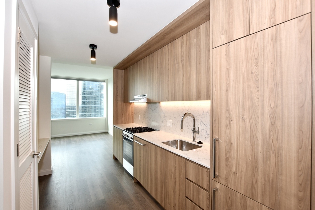 1000 S Michigan Avenue - Photo 5