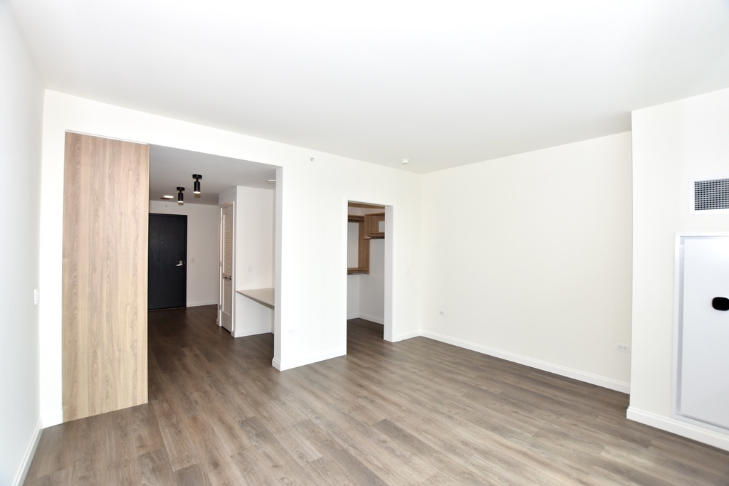 1000 S Michigan Avenue - Photo 11