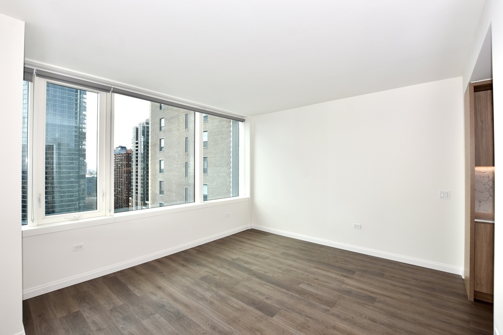 1000 S Michigan Avenue - Photo 9