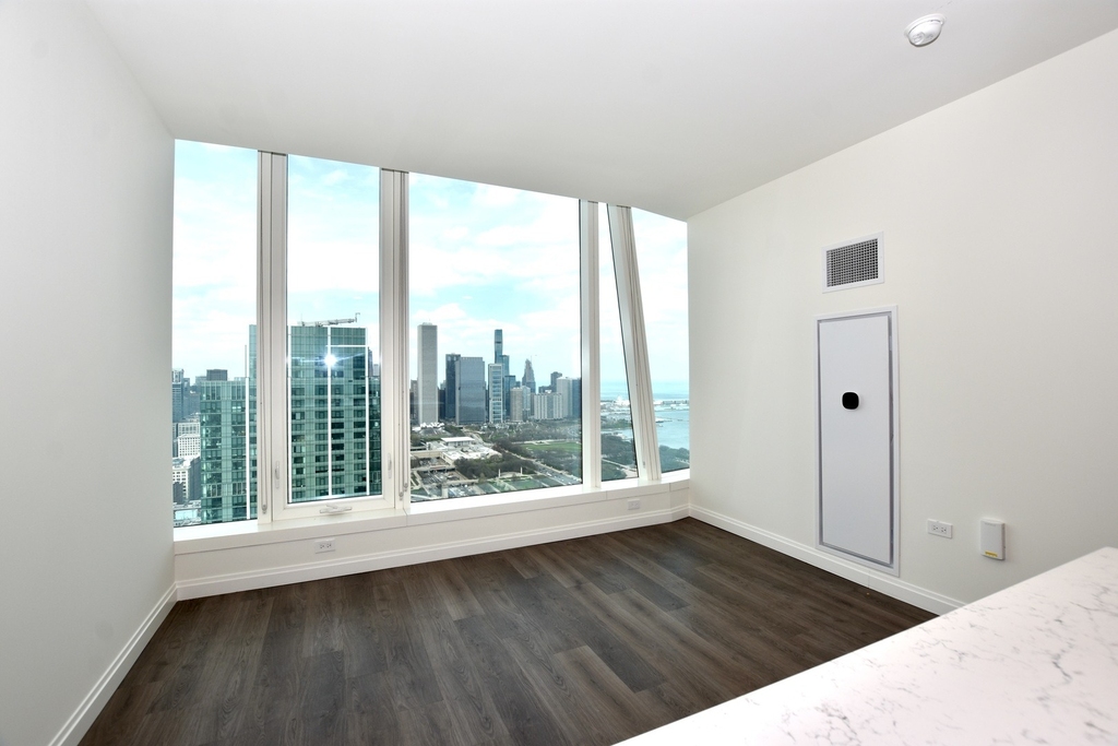 1000 S Michigan Avenue - Photo 9