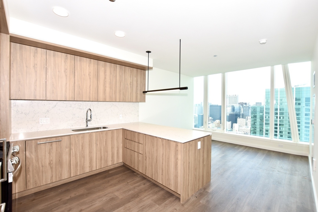 1000 S Michigan Avenue - Photo 4
