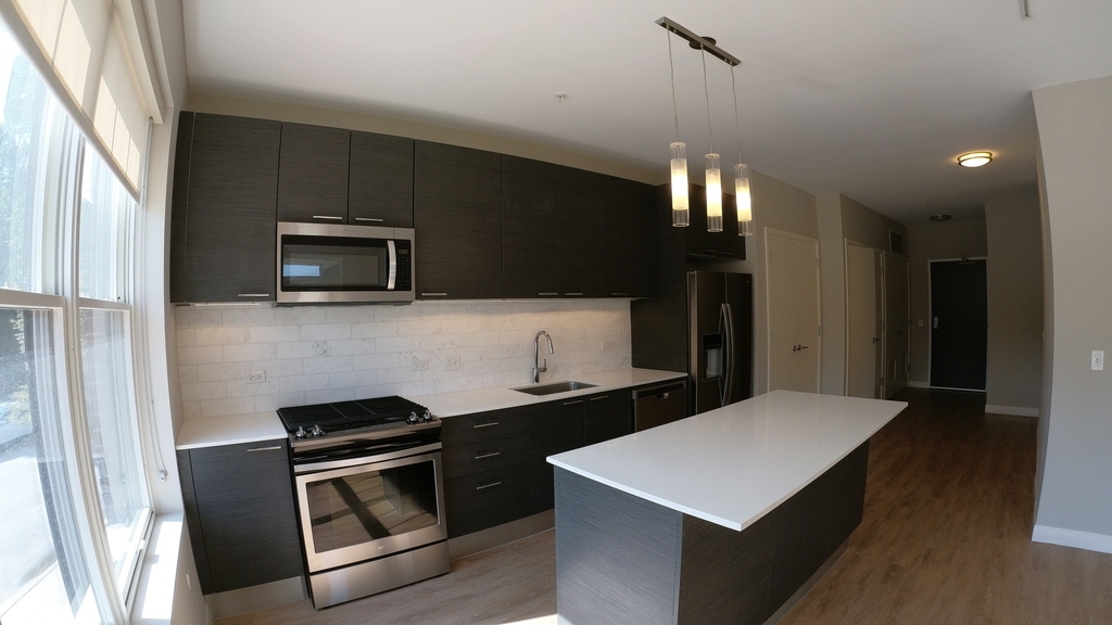 229 Park Avenue - Photo 8