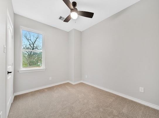 7414 Mount Street - Photo 13