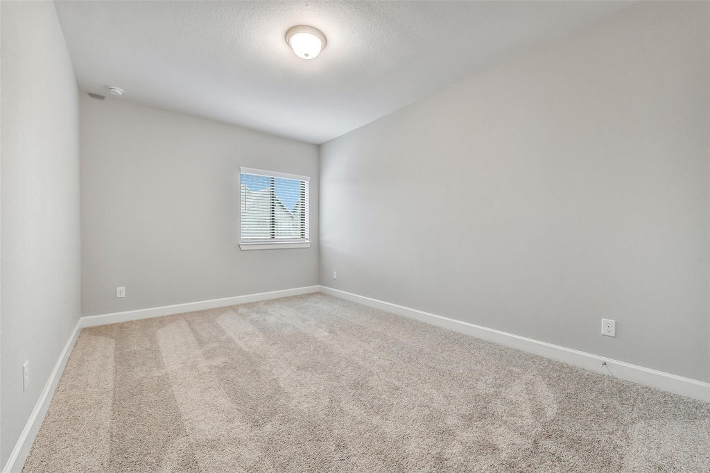 3311 Full Bellied Lane - Photo 23