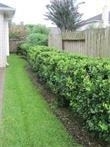2715 Falling Forest Court - Photo 39
