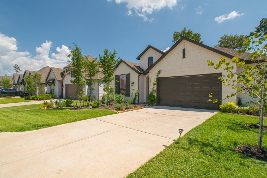 427 Boggy Belt Lane - Photo 1