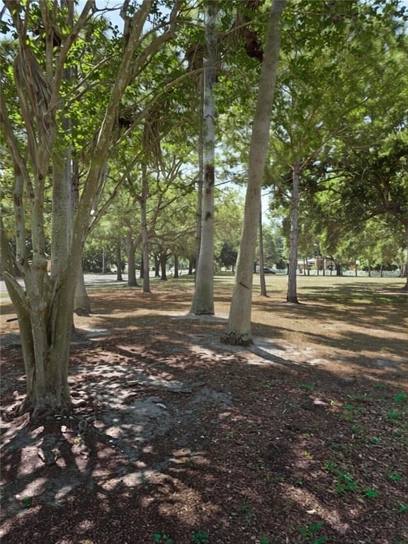 5210 Dr Martin Luther King Jr St N Street - Photo 49