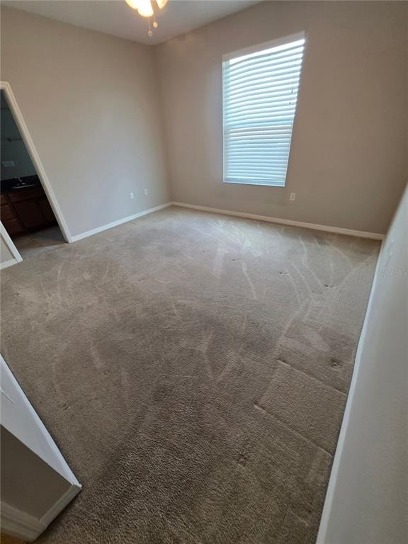 810 Callista Cay Loop - Photo 13