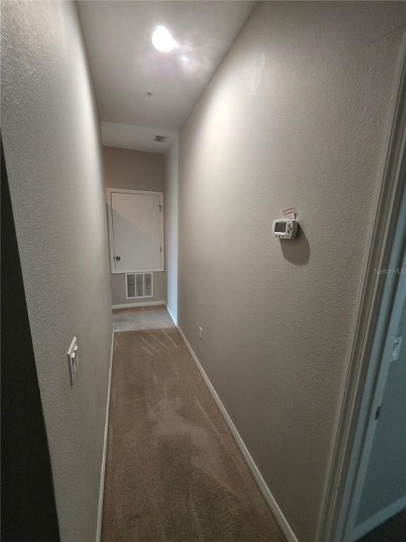 810 Callista Cay Loop - Photo 12