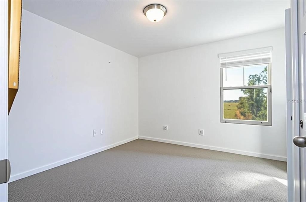 4329 Eagle Trail Bend - Photo 13