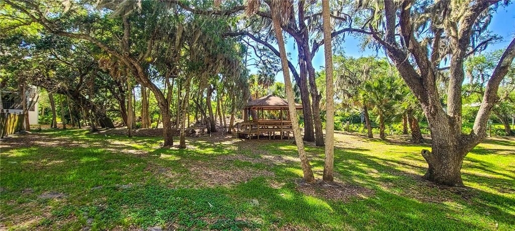 2749 Orchid Oaks Drive - Photo 35
