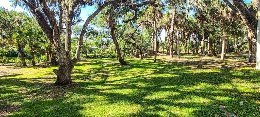 2749 Orchid Oaks Drive - Photo 41