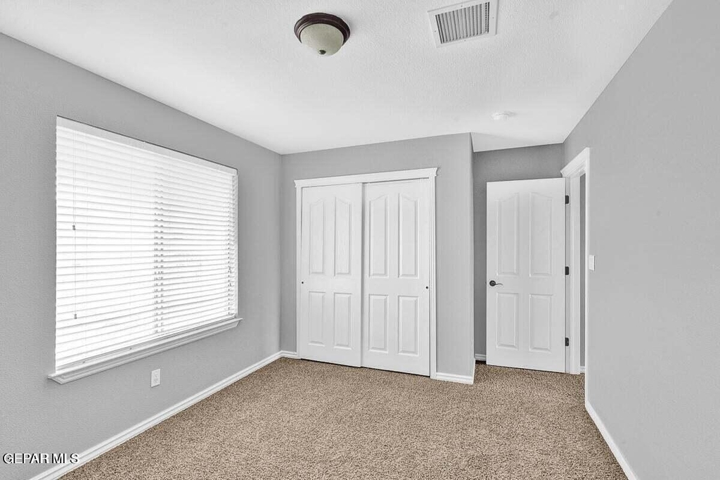 7341 Autumn Sage Drive - Photo 11