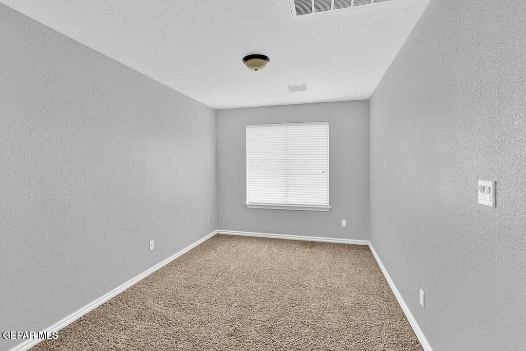 7341 Autumn Sage Drive - Photo 12