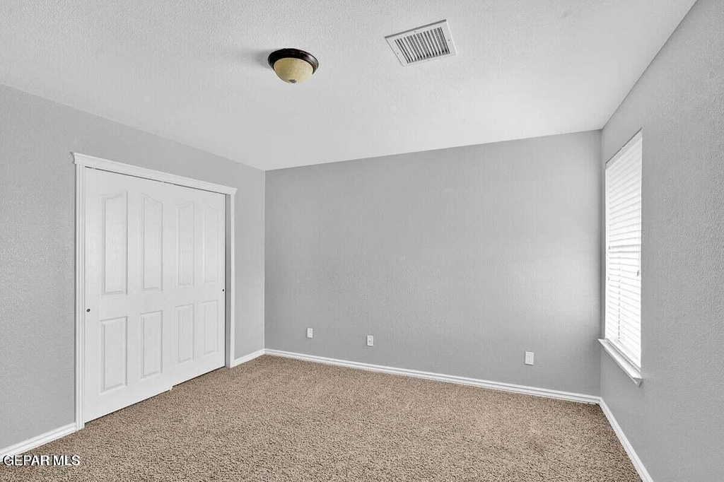7341 Autumn Sage Drive - Photo 10