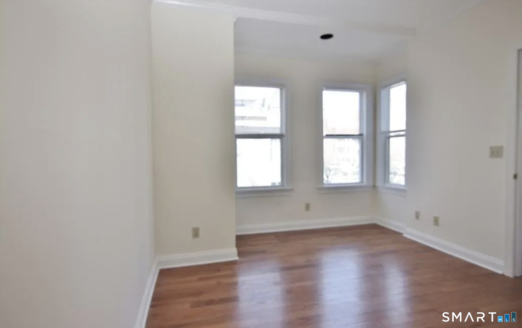 16 Haviland Street - Photo 19