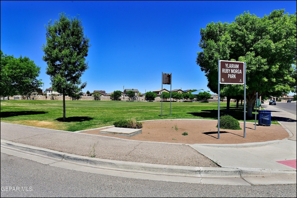12976 Enrique Gomez Drive - Photo 48