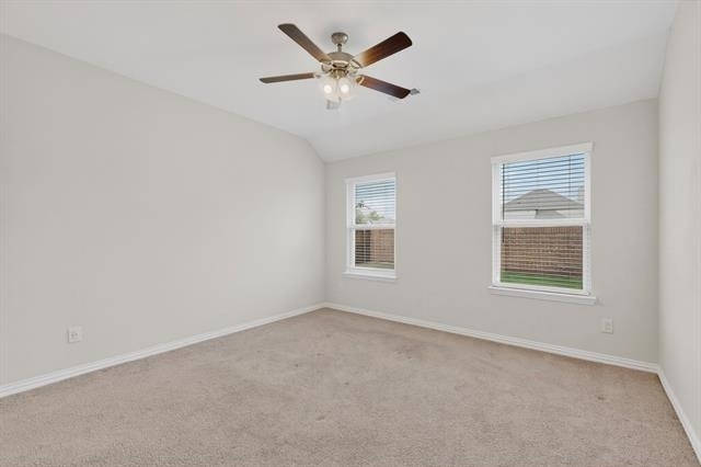 4009 Mockingbird Lane - Photo 14