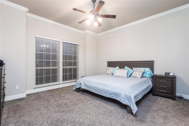12038 Big Springs Drive - Photo 4