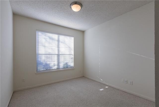8216 Spring Valley Lane - Photo 11