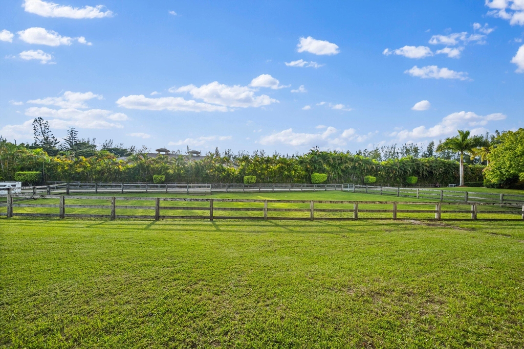 11861 Hawk Hollow - Photo 10