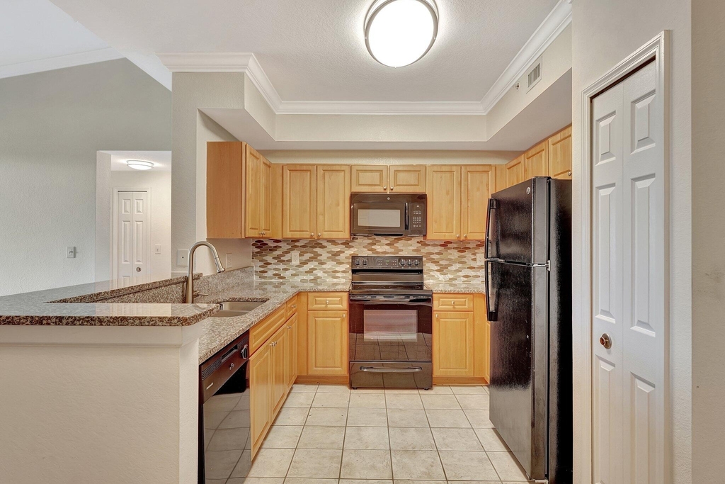 15055 Michelangelo Boulevard - Photo 1