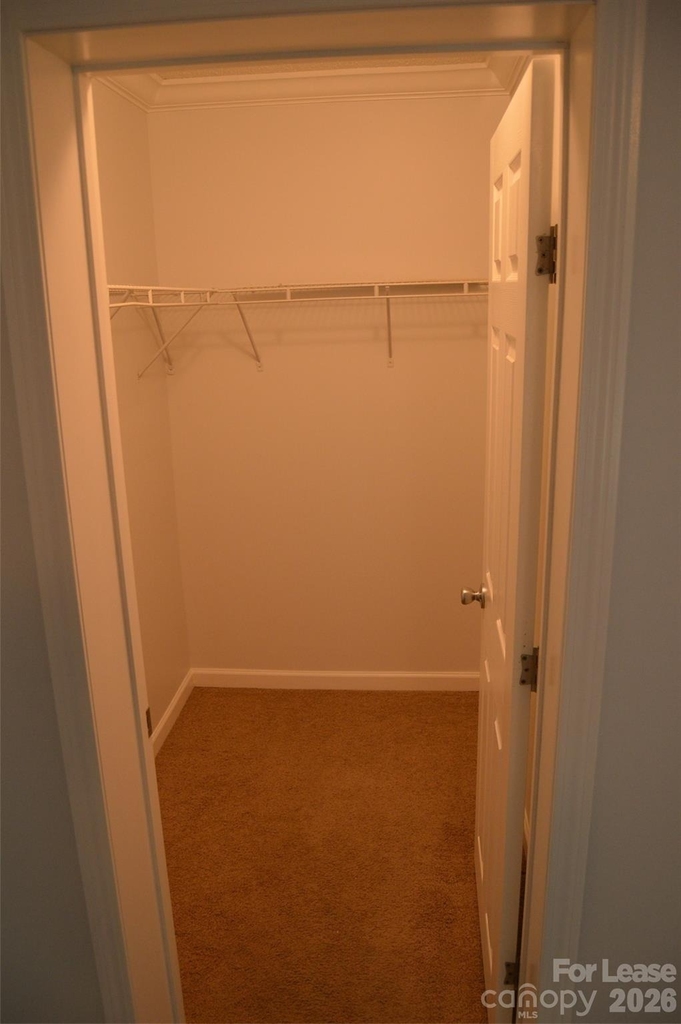 118 Grain Drive - Photo 15