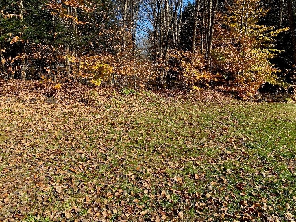 141 Gale Road - Photo 17
